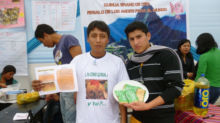 Cooperativa Estudiantil: Procesos y Estrategias