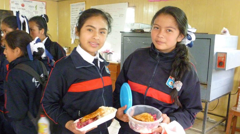 Programación Curricular y las Cooperativas Estudiantiles